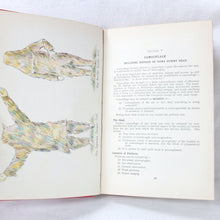 Fieldcraft, Sniping and Intelligence (1940)