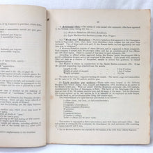 Handbook of the German Army in War (1917)