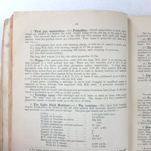 Handbook of the German Army in War (1917)