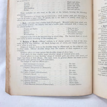 Handbook of the German Army in War (1917)