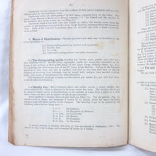 Handbook of the German Army in War (1917)