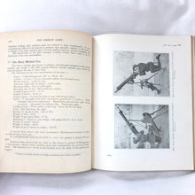 Handbook of the German Army (1928)