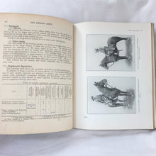 Handbook of the German Army (1928)