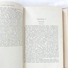 Handbook of Mesopotamia (1916-17) Volumes I - IV