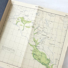 Handbook of Mesopotamia (1916-17) Volumes I - IV