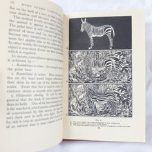 Home Guard Manual of Camouflage (1942)