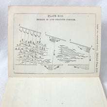 Infantry Drill (1896)