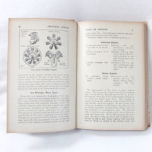 Practical Flying (1918)