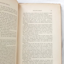 Shrapnel Shells (1854)