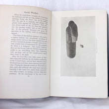 Aerial Warfare | R. P. Hearne (1909)