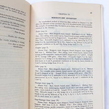 WW2 RAF Pilot's Naval Recognition Manual (1943)