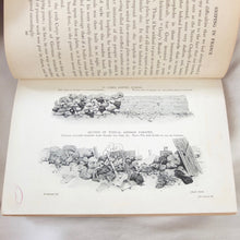 WW1 Sniping in France | Hesketh-Prichard