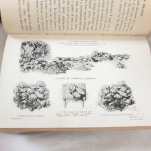 Sniping in France (1920) | Major H. Hesketh Prichard