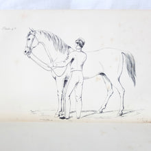 Training of Cavalry Horses (1860) Captain Nolan