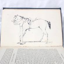 Training of Cavalry Horses (1860) Captain Nolan