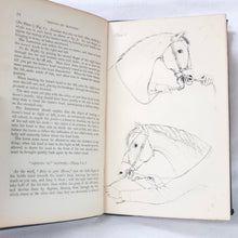 Training of Cavalry Remount Horses (1860) Captain Nolan