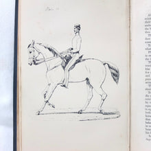 Training of Cavalry Horses (1860) Captain Nolan