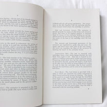 Vickers Rifle Calibre Machine Gun Handbook (1915)